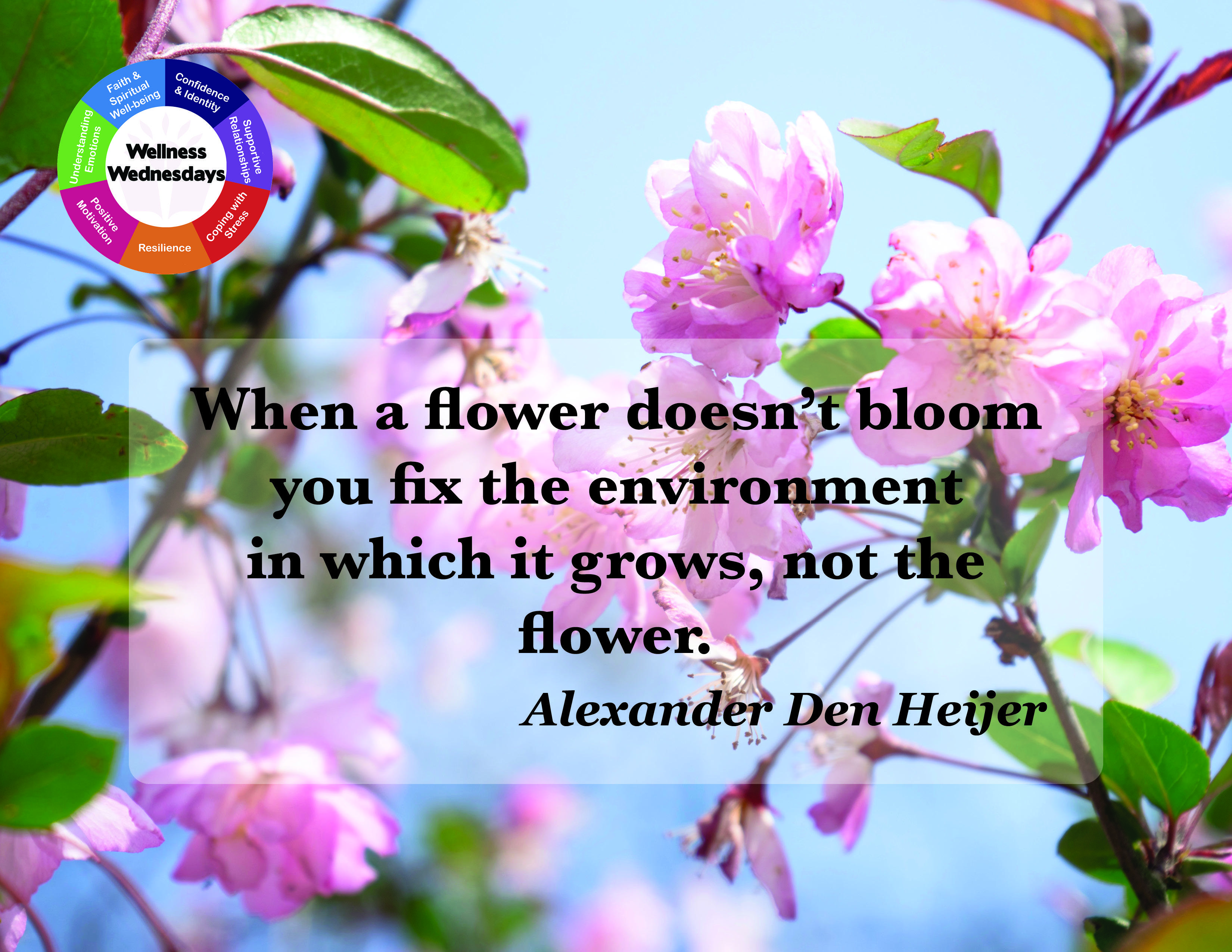 “When a flower doesn't bloom, you fix the environment in which it grows, not the flower.” (Alexander Den Heijer)